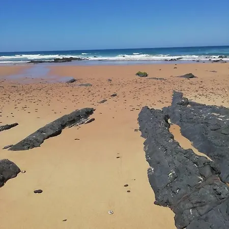 L'oasis *